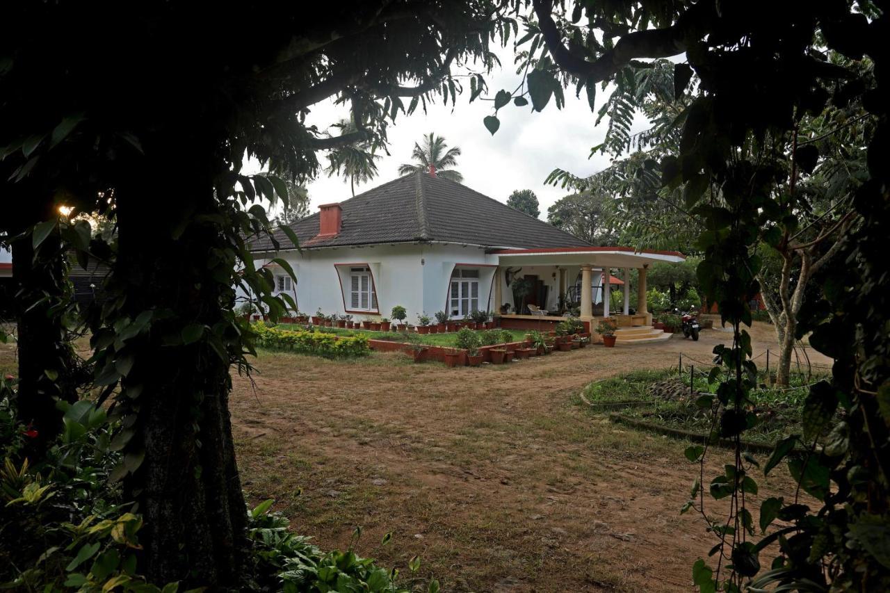Devi Villa - Plantation Retreat And Forest Getaway Kutta Exterior photo