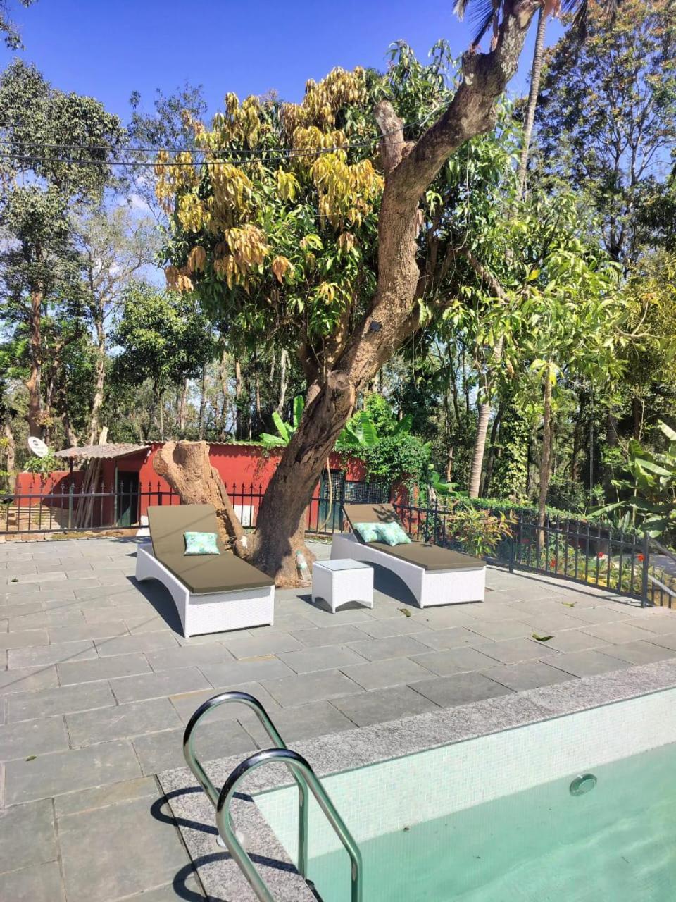 Devi Villa - Plantation Retreat And Forest Getaway Kutta Exterior photo
